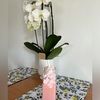 asia_finds